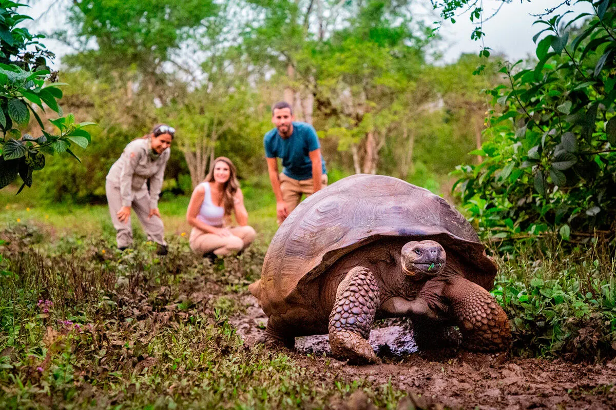 3631 galapagos adventure snorkeling