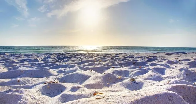 /img/3637-florida-airbnb-honeymoon-luxury.webp