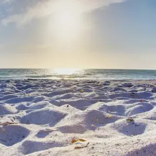 /img/3637-florida-airbnb-honeymoon-luxury.webp