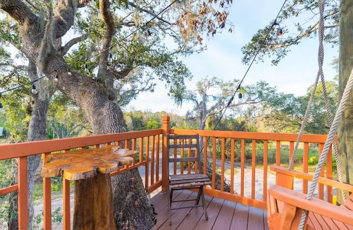 3637 florida airbnb honeymoon pool