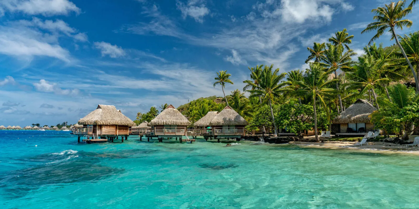 3687 venice honeymoon