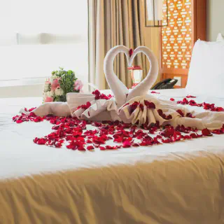 /img/3733-honeymoon-packing-list.webp