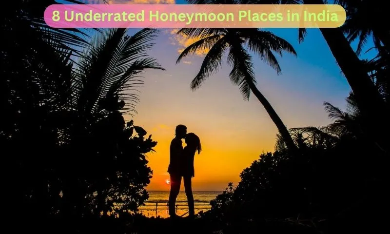 3742 andaman honeymoon