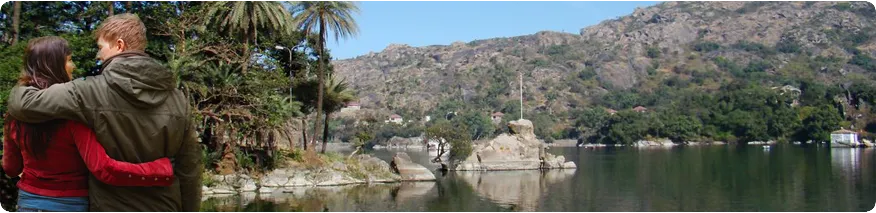 3748 mount abu dilwara temples