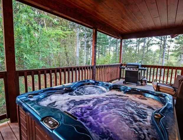 3801 romantic cabin 4