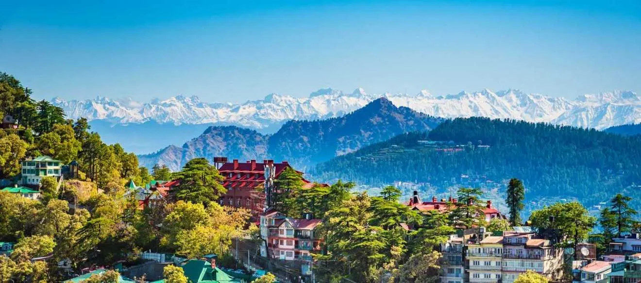 /img/3818-shimla-honeymoon-mall-road.webp