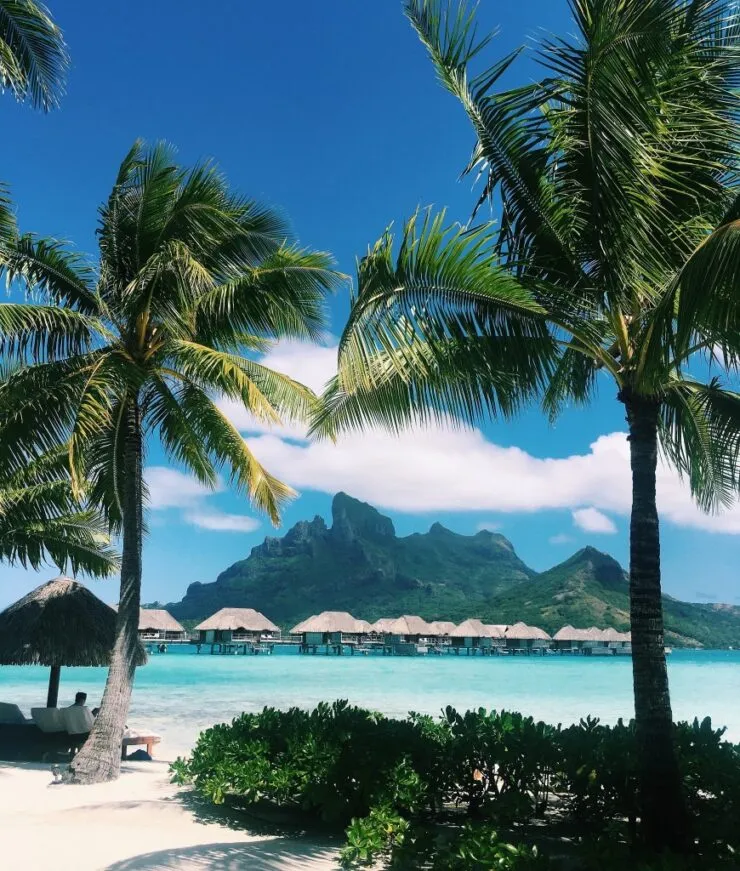 3841 beach honeymoon