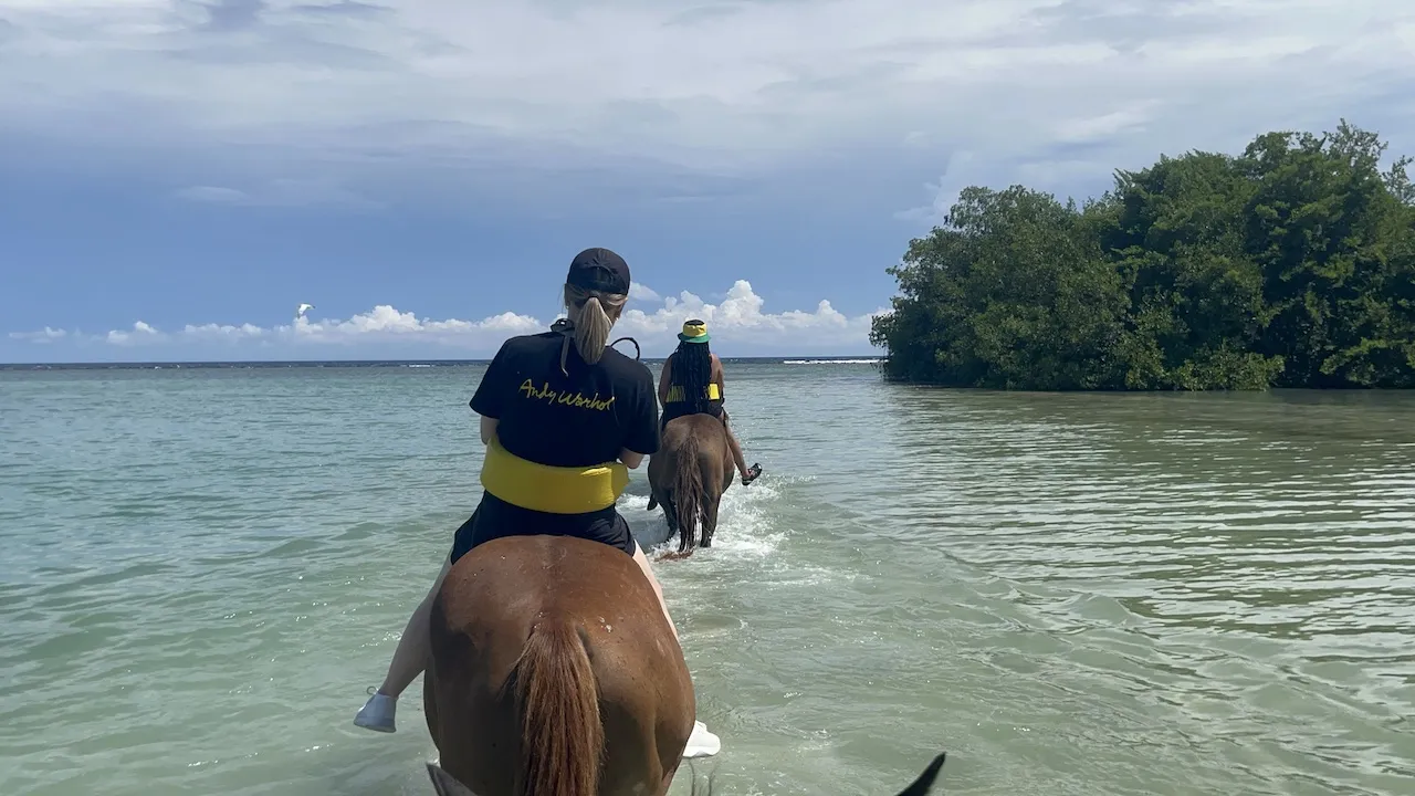 3852 horseback riding honeymoon mountain views