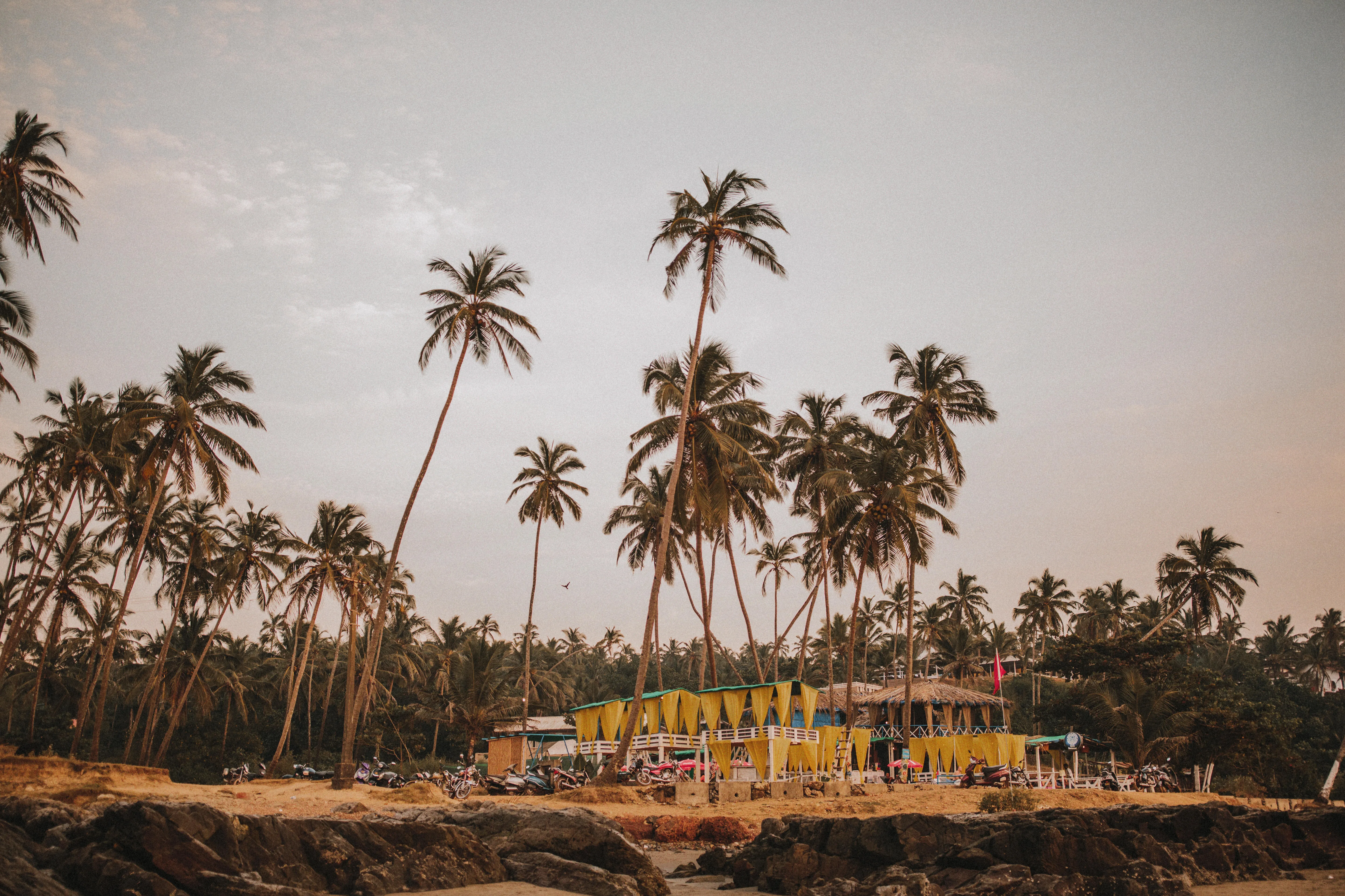3856 zuri goa suite