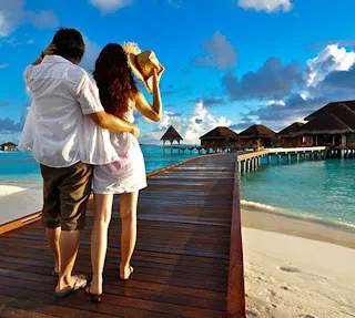 3898 newport honeymoon