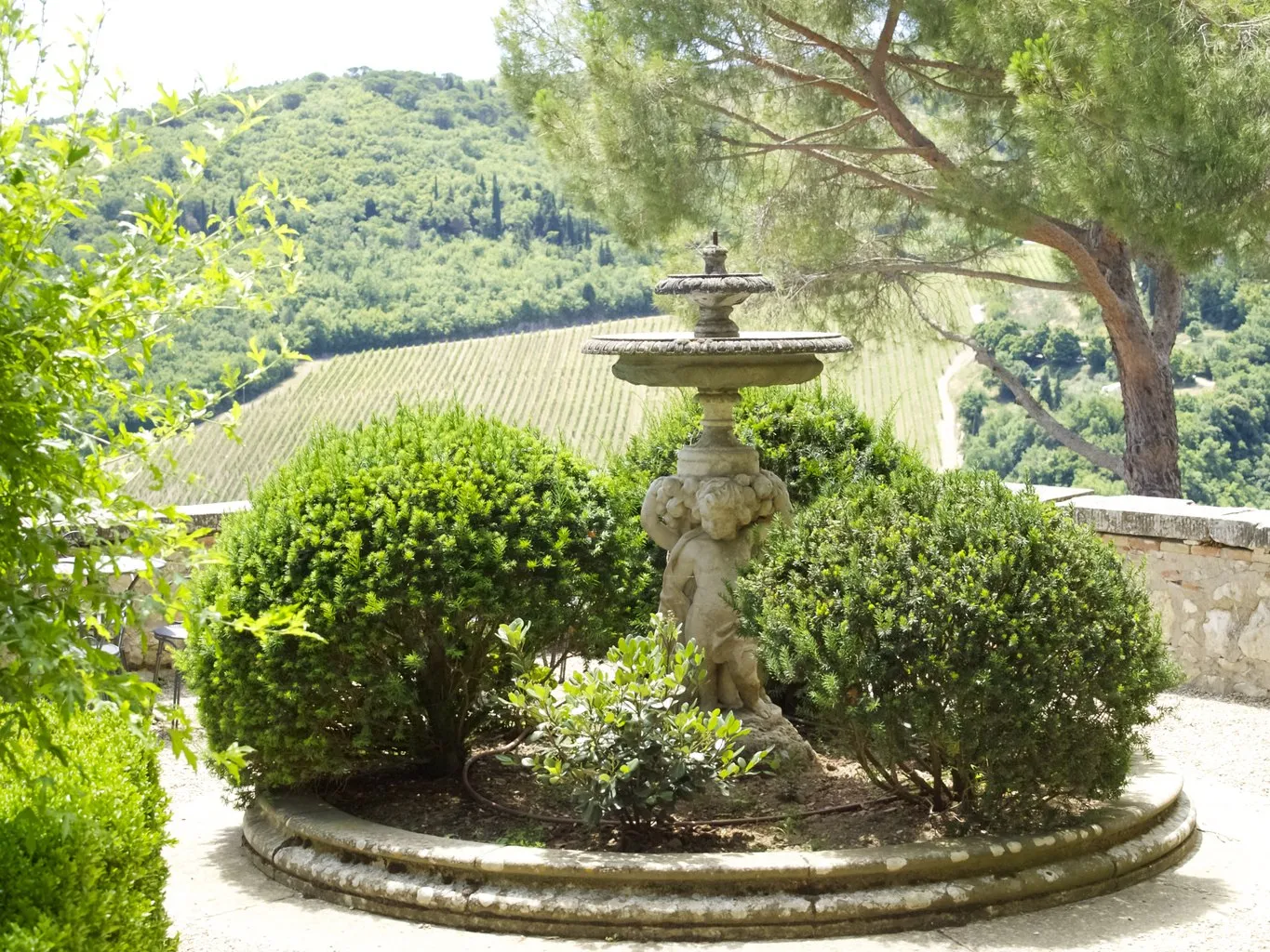 3934 cooking class tuscany