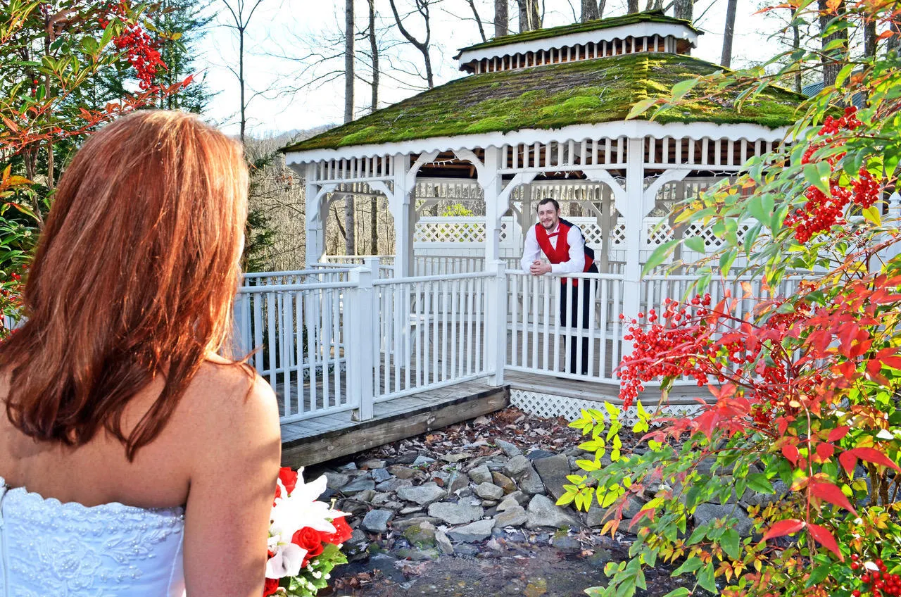 /img/3951-gatlinburg-honeymoon-suite-booking.webp