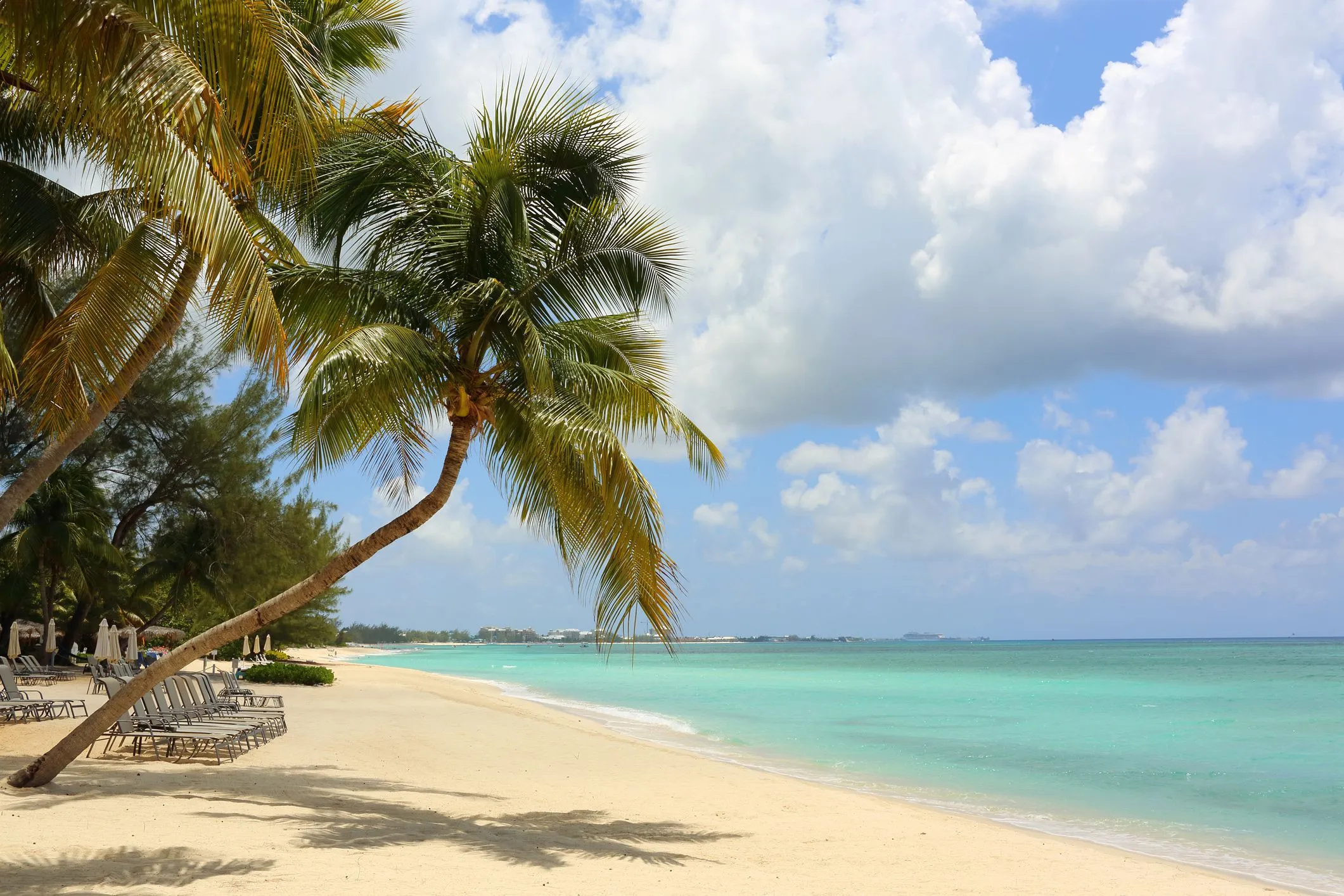 3962 jamaica honeymoon hotel beach