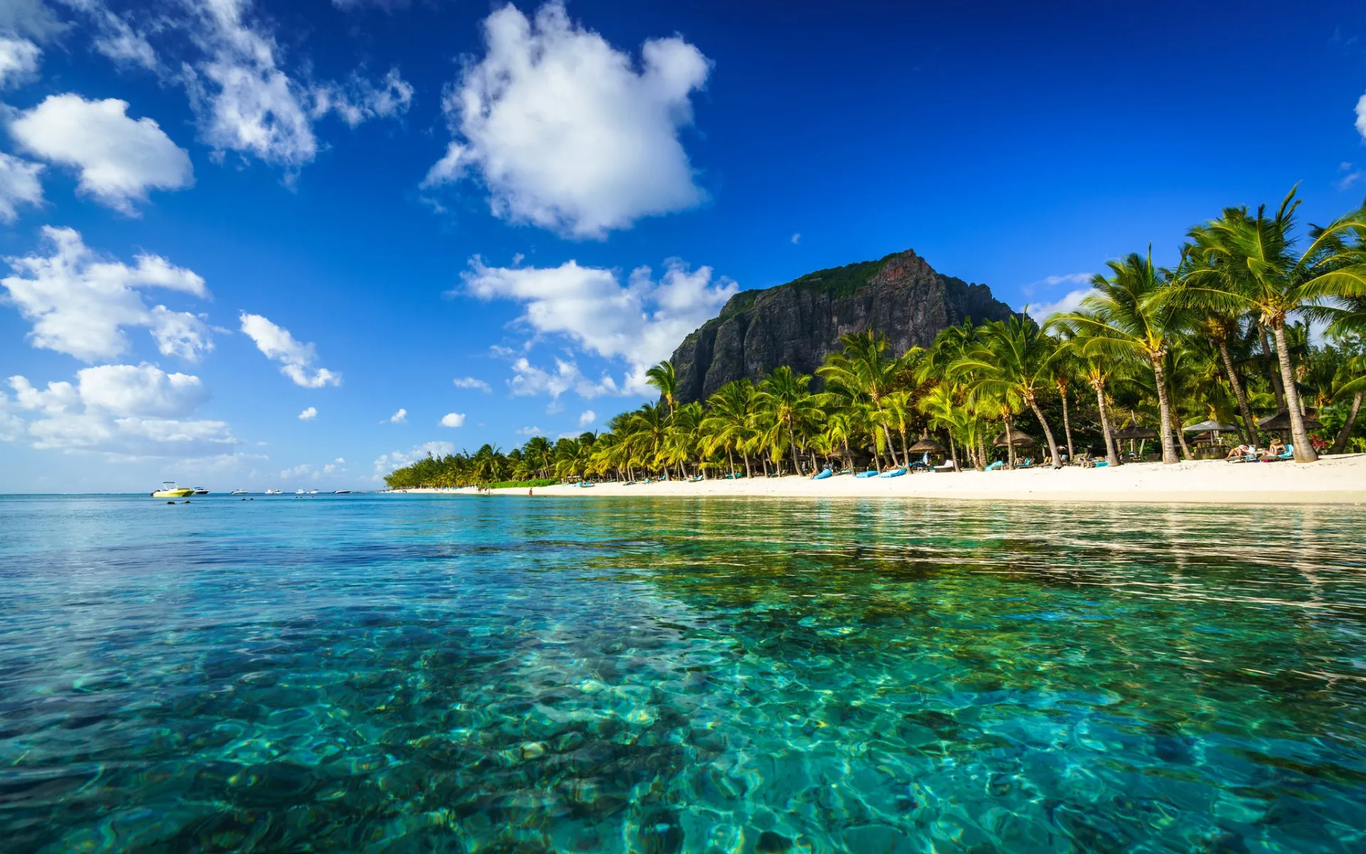 3976 honeymoon couple beach