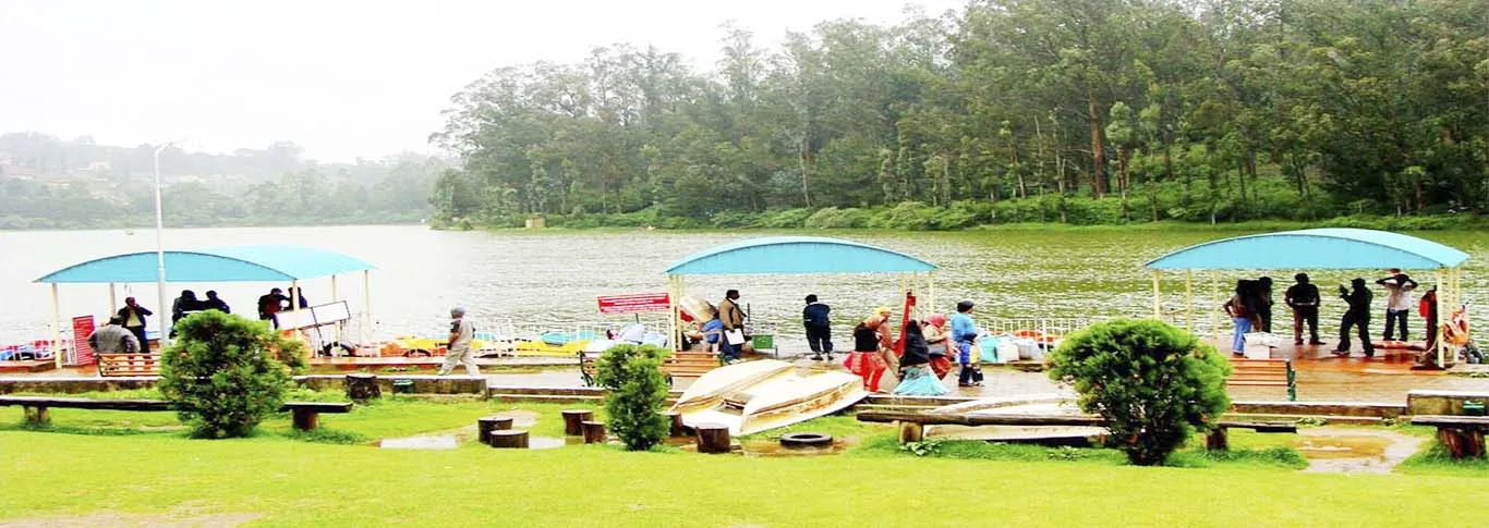 /img/3994-ooty-restaurant-honeymoon.webp