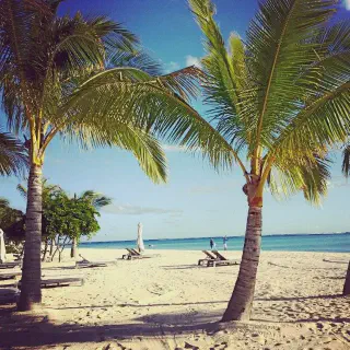 /img/3998-beach-5-honeymoon.webp